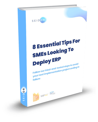 8 ERP Tips-2