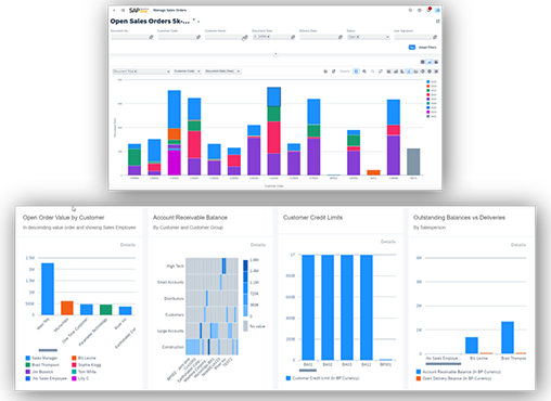 SAP B1 2 screens-1