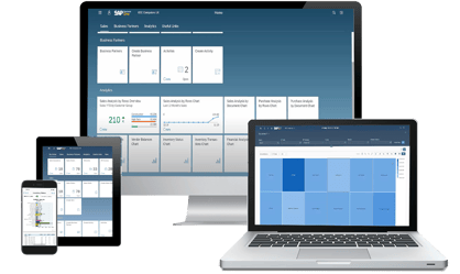 SAP B1 Multi Device Web Client