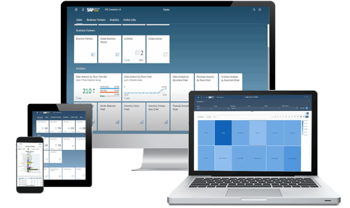 SAP B1 Multi Device Web Client